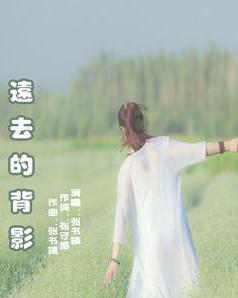 设网上赌场引诱中国公民赌博，年流水超3.5亿元 六安市霍邱公安成功抓获一名“红通”逃犯